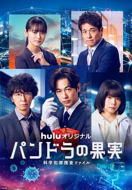 广西网站建设优化建站